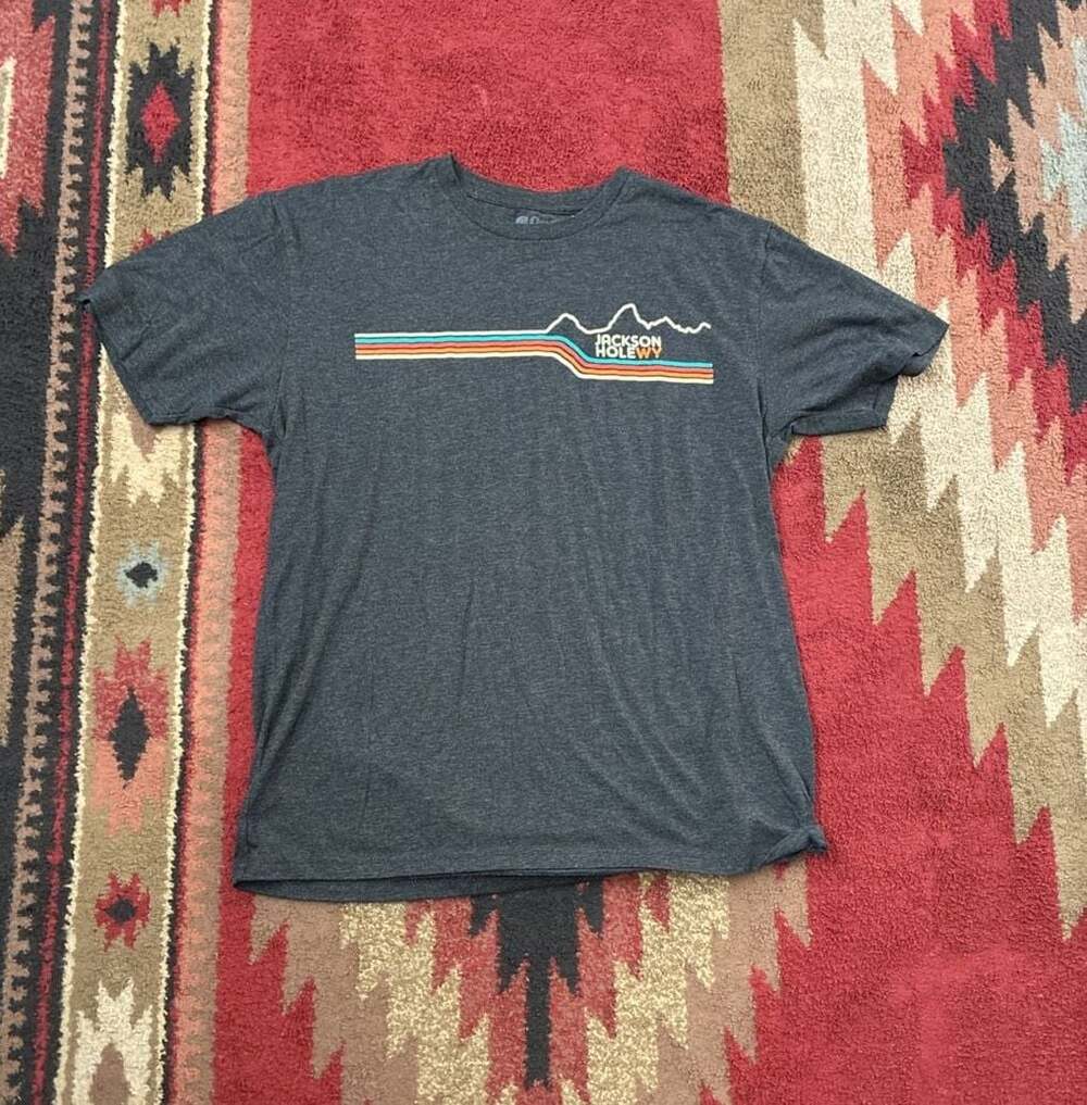 Ouray Jackson Hole WY Retro Mountain Stripe Graphic T-Shirt Gray Size Large